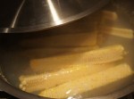 corn stock